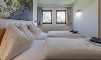 A cozy bedroom with two single beds and large windows that let in plenty of daylight. On the wall hangs a picture of a tree trunk, creating a natural atmosphere.