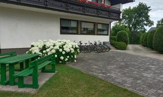 A row of bicycles stands next to a flower bed. In the background, well-kept bushes and a clear sky can be seen.