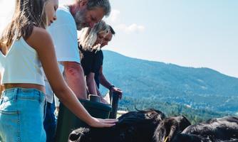 A family is standing by a fence and petting a cow. In the background, there are mountains and a blue sky.
