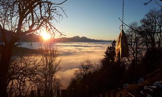 A picturesque sunrise above a blanket of clouds, surrounded by trees and mountains. The golden rays of the sun gently reflect on the surface of the fog.