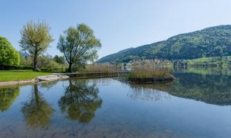 A tranquil lake surrounded by trees and gentle hills. The water reflects the landscape and the blue sky.