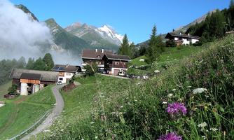 A picturesque mountain landscape with green meadows and blossoming flowers. In the background, mountains and a clear sky can be seen.