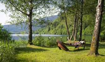 A cozy hammock is set up by the shore of a lake, surrounded by trees and green grass. In the background, gentle hills and a calm water surface can be seen.