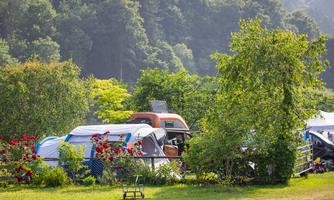 A campsite with several caravans, surrounded by trees and colorful flowers. The place feels green and inviting, ideal for a relaxed stay in nature.