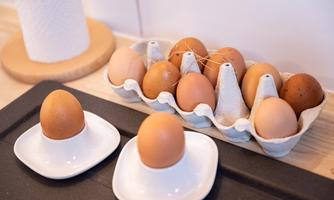 A small tray with boiled eggs and an egg carton with more eggs. The eggs are brown and arranged on a light surface.