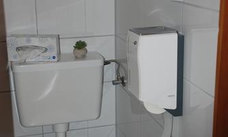 A simple bathroom with a toilet and a cistern. The walls are tiled, and there is a small plant on the cistern.