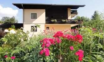 Sommer im Garten