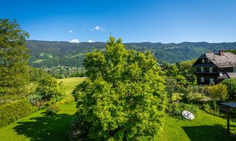 A green landscape with a large tree in the foreground. In the background, mountains and a blue sky are visible.