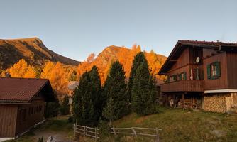 A rustic wooden house surrounded by green trees and bright orange autumn leaves. In the background, mountains can be seen under a clear sky.