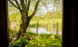 A beautiful view of a calm pond, surrounded by green grass and trees. The landscape is bright and sunny, ideal for a relaxing day in nature.