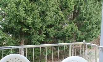 A small balcony with two white chairs and a round table. In the background, tall green trees are visible.