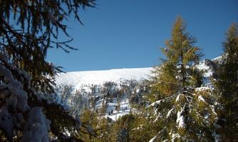 A beautiful, snow-covered landscape with tall trees in the foreground. The clear, blue sky complements the winter scene.