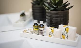 An elegant arrangement with two bottles of essential oils and small soaps in a white bowl. In the background, there is a decorative plant pot with green plants.