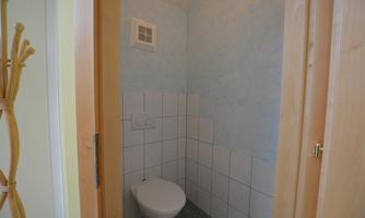 A small bathroom with a white toilet and light blue walls. The tiles are plain and the room appears clean and tidy.