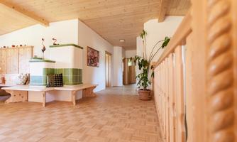 A bright hallway with wooden flooring and a wooden ceiling. Plants are on the wall and a cozy seating area is visible.