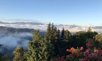 A picturesque view of mountains with fog and green trees. Colorful flowers frame the scene.