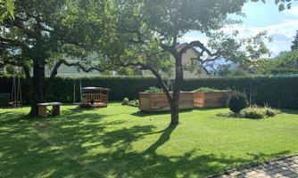 A beautiful garden with green grass and old trees. In the background, there are wooden raised beds and a fence.