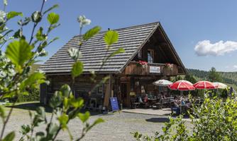 An idyllic wooden house with a terrace where guests sit under red umbrellas. Surrounded by green bushes and a clear blue sky.