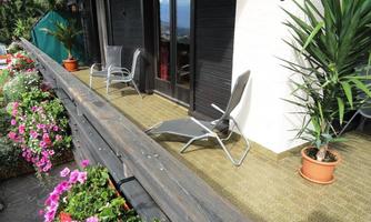 Phlox Balkon Südseite