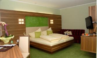 A cozy room with a double bed and modern wooden interior. There is a desk, a television, and a green carpet area.