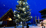 A decorated Christmas tree stands in a snow-covered landscape. In the background, wooden buildings and a clear, blue night sky can be seen.