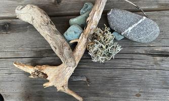 An arrangement of driftwood, stones, and moss on a wooden surface. The natural elements display various textures and colors.