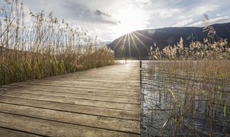 A wooden walkway leads through tall reeds to a peaceful body of water. In the background, the sun shines behind the mountains.