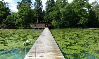 A wooden walkway leads to a small building by the shore. It is surrounded by a lake with aquatic plants and lush greenery.