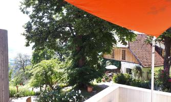 An idyllic garden landscape with a large tree and a cozy house in the background. An orange awning provides shade and creates an inviting atmosphere.
