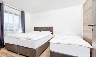 A modern bedroom with two single beds. Large windows provide plenty of natural light.