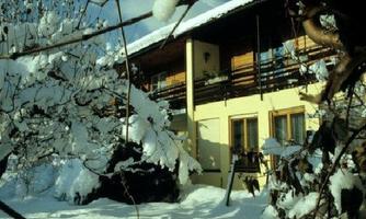A cozy house in winter, surrounded by snow-covered trees. The windows reflect the sunlight, creating an inviting atmosphere.