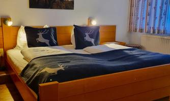 A cozy bedroom with a large double bed and decorative cushions. The walls are light, and there are two bedside lamps as well as curtains with a simple pattern.