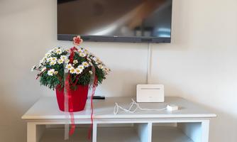 A modern living area with a white TV table that bears the word "CINEMA." On it sits a pot of flowers and a television on the wall.