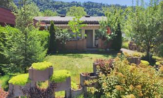 A cozy house with a well-maintained garden. Surrounded by trees and colorful plants, the environment radiates tranquility.