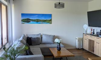 A cozy living room with a gray sofa and a wooden table.  
On the wall hangs a picture of a landscape, and in the corner stands a plant in a pot.