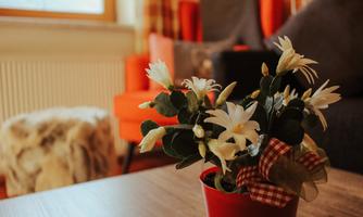 A blooming pot with white flowers sits on a table. In the background, cozy seating furniture can be seen.