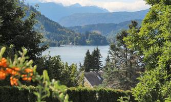 A peaceful landscape with a lake and mountains in the background. In the foreground, there are green trees and some orange berries.
