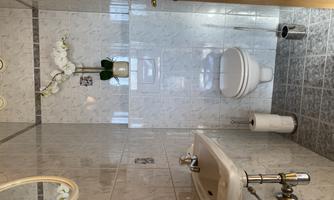 A clean bathroom with modern tiles. It contains a toilet, a sink, and a small plant decoration.