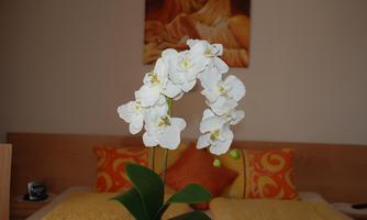 A beautiful orchid bush with white flowers stands in the foreground. In the background, orange cushions and a piece of artwork on the wall can be seen.