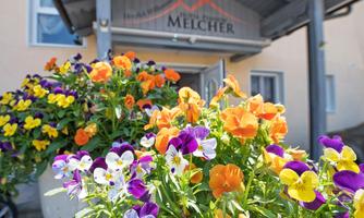 Colorful flowers in pots adorn the entrance of a house. In the background, the sign "Melcher" is visible.