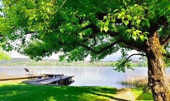 A quiet lake beneath a large tree with fresh, green leaves. In the foreground, there is a wooden terrace, perfect for relaxing.