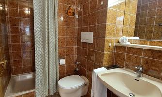 A bathroom with brown tiles and a shower. There is a sink, a toilet, and a mirror.