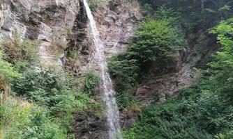 A beautiful waterfall that cascades from a rock wall into a tranquil pond. Surrounded by lush greenery and trees.