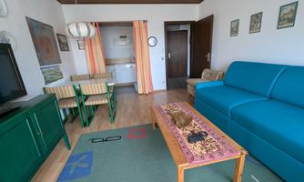 A cozy living room with a blue sofa, a wooden table, and dining area. The walls are adorned with pictures, and the windows are fitted with colorful curtains.