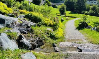 A beautiful path through a green landscape with rocks and plants. In the background, benches and a serene park can be seen.