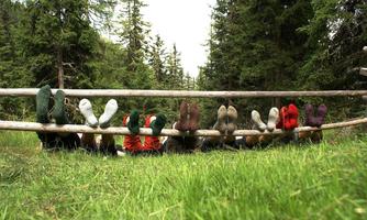 Groups of feet in different shoes hanging on a wooden fence. The background features green grass and tall trees in the forest.