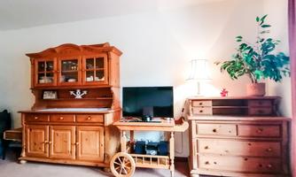 A cozy living room with a beautiful wooden dresser and a television. A plant is next to the lamp on the table.