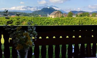 A beautiful view of the mountains and vineyards. On the table stands a vase with flowers and a glass.