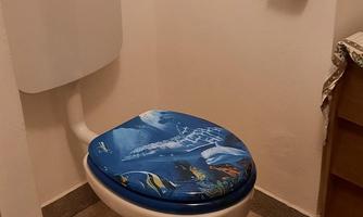 A simple bathroom with a toilet and a colorful toilet seat. The walls are plain and white.