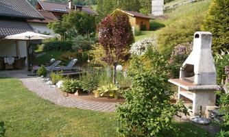 A beautiful garden with green plants and flowers. In the background, there is a house and a terrace with loungers.